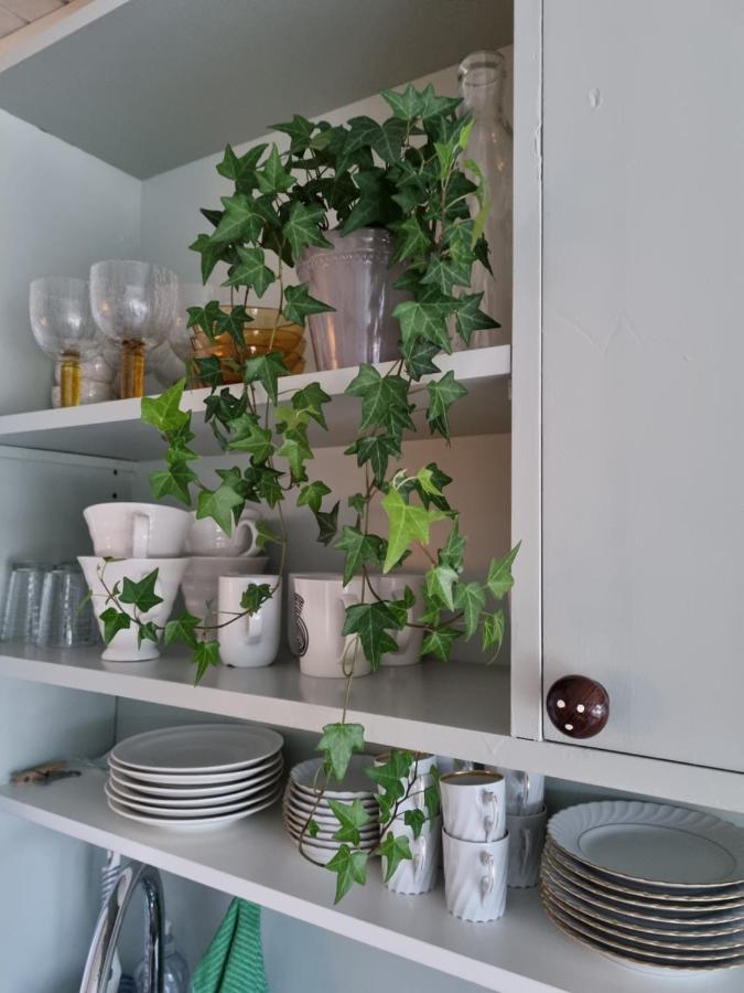 Loftsleilighet Midt I Sentrum Skjervoy Exterior foto